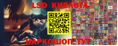 прущие крисы Гай