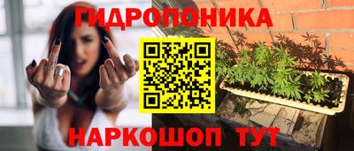 бошки Гагарин