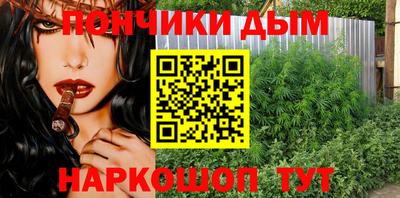 бошки Гагарин
