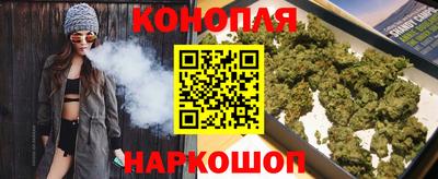 прущие крисы Гай